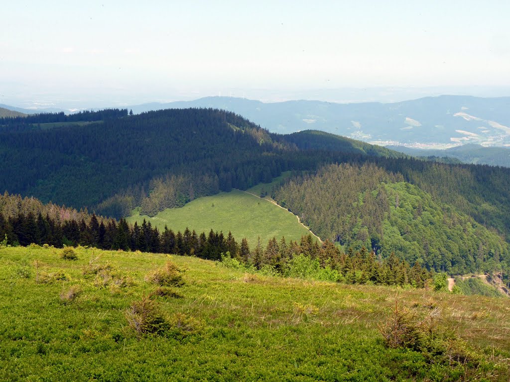 Totermann (1321m) en Hüttenwasen. by Pieter Klein