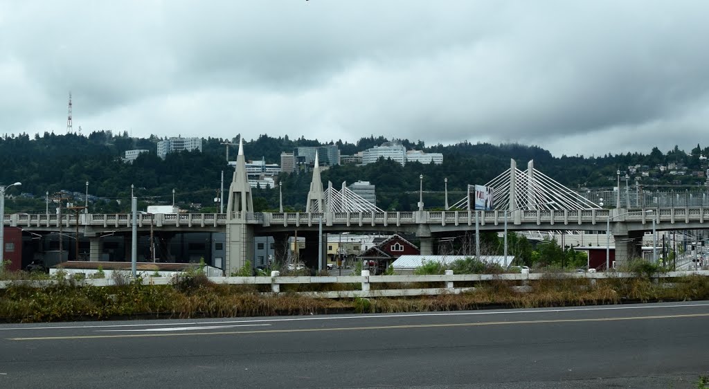 Tilikum Crossing by Buddy Rogers