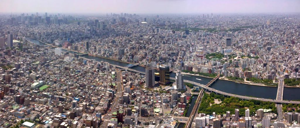 View from Tokyo SkyTree, centered on Asahi Beer Hall, Tokyo, Japan by Giembe