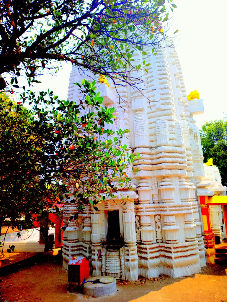 Kedar Gouri Temple,Old Town, Bhubaneshwar, Odisha, India by Kamalakar Anthati