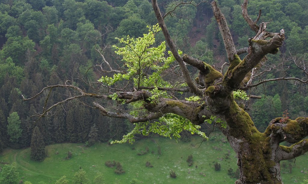 Kipfenberg, Germany by H Neocc