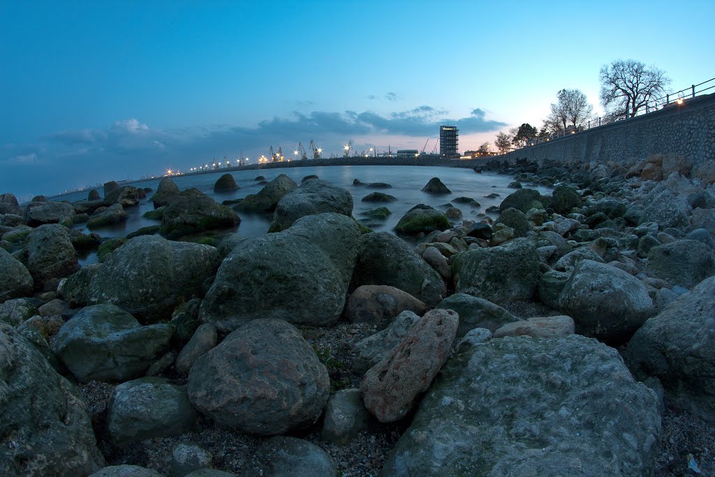 The Black Sea shore by Marius Manole