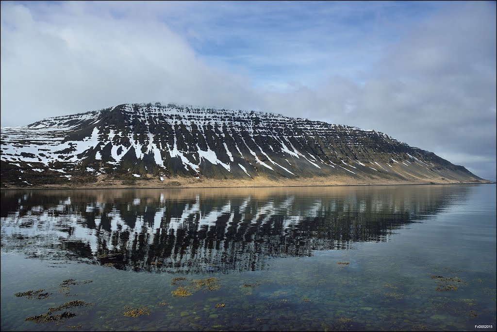 Iceland; Borgarfjordur by F. van Daalen