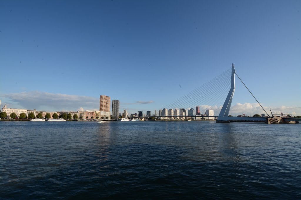 Kop van Zuid, Rotterdam, Netherlands by 8.sotomayor