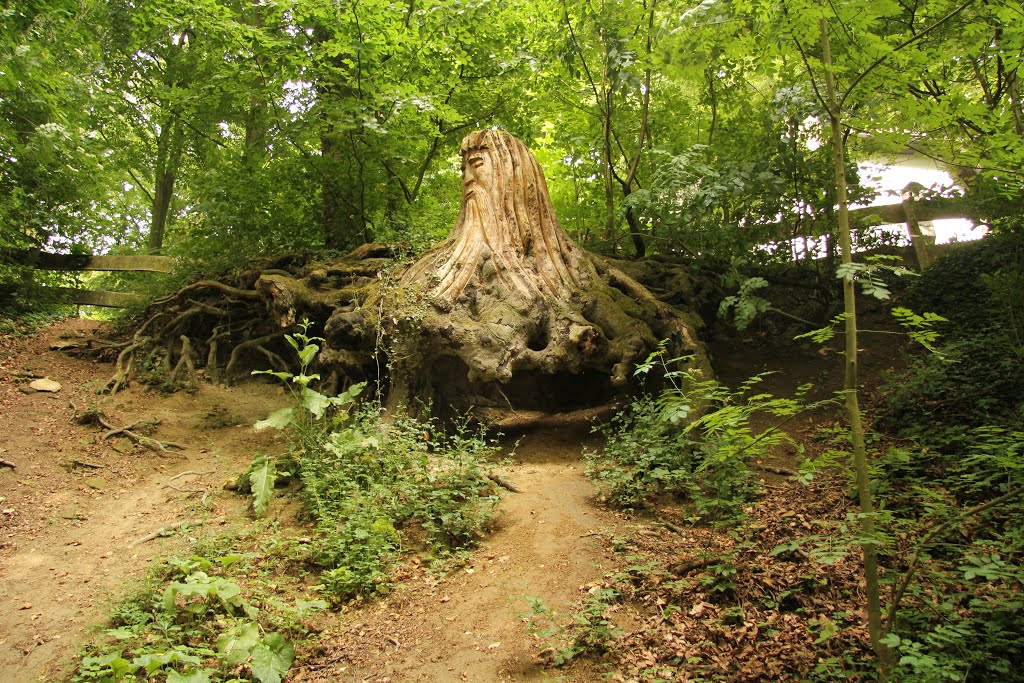 RÜBEZAHL---Herr der Berge, Weltgeist, Erdenhüter by Stehrbert