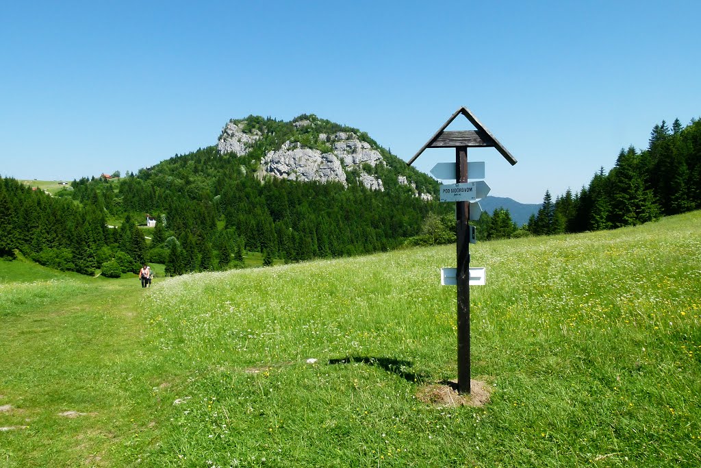 Pod Sidorovom - On the way from Vlkolínec to Malino Brdo - Liptov -SLOVAKIA - 2015 by Jaroslav Novák