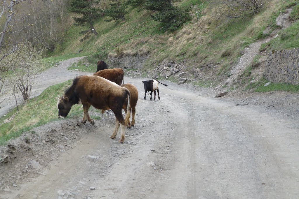 Kazbegi - trecking do Cminda Sameba by Marek Machniak