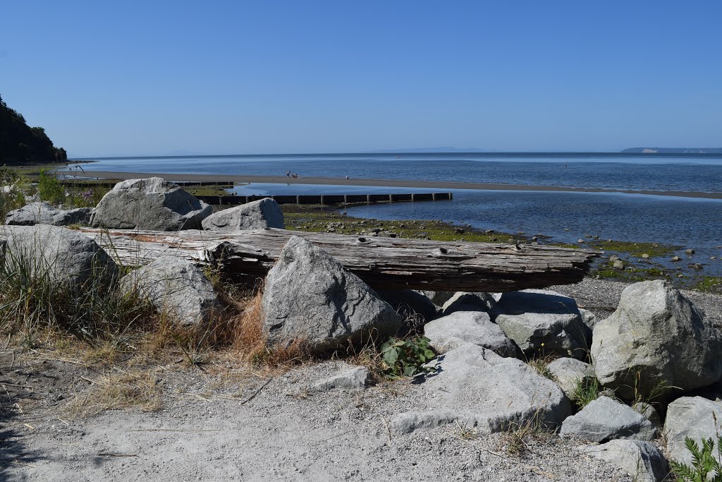 Rocks and logs by Sara Styles (BlueSky…