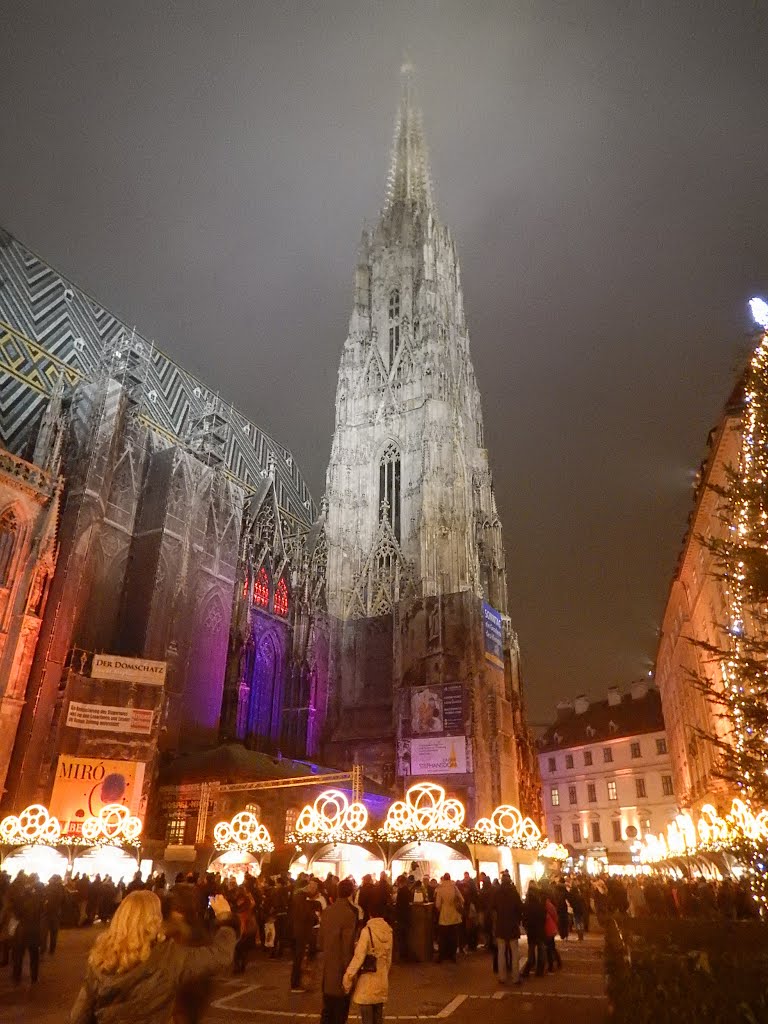 Stephansdom, 1010 Wien, Austria by Алексей Гриднев