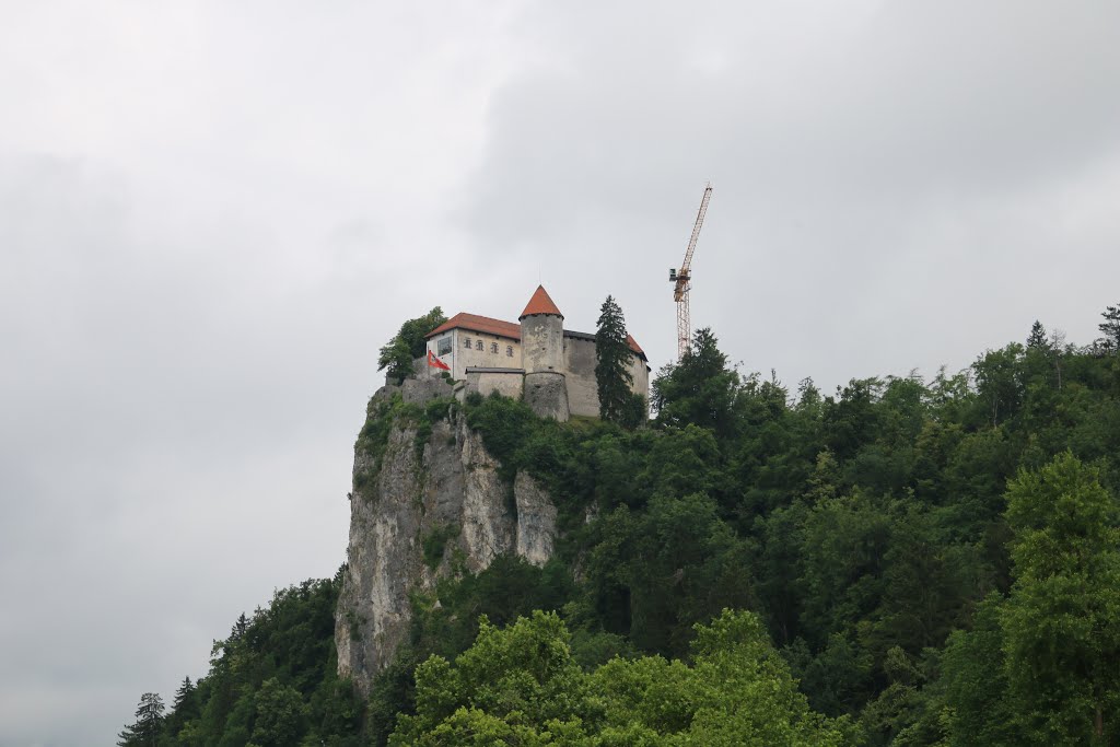 Castle of Bled by Dorottya Edina Kozma