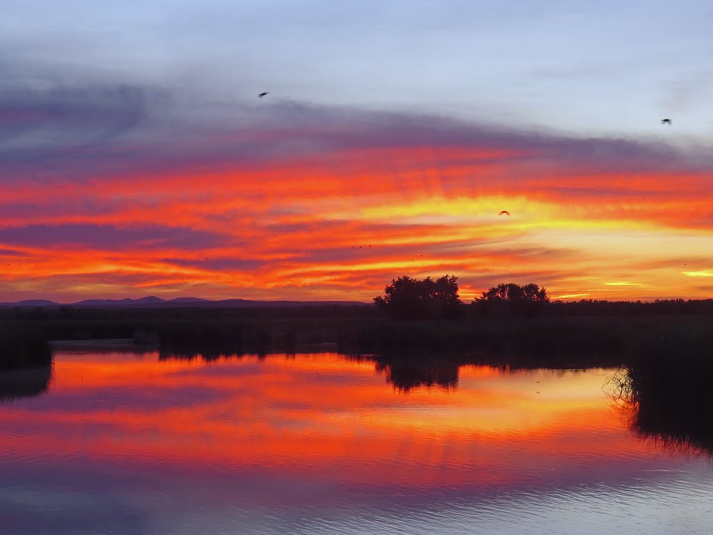 Celebration in the Sky by Don Maiers