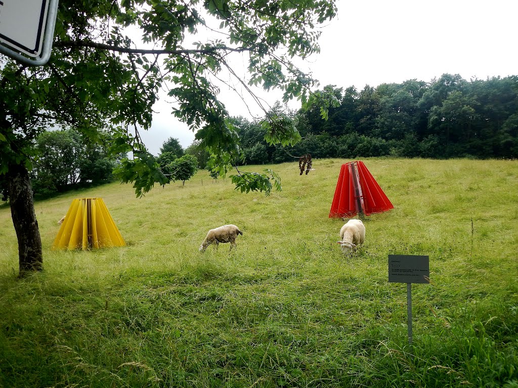 Kunst am Hang, eine bürgerschaftliche Initiative: Gisela Rohnke - Tanz - Die farbigen Rockformen rufen die Illusion tänzerischer Bewegung in der Landschaft hervor. by qwesy qwesy