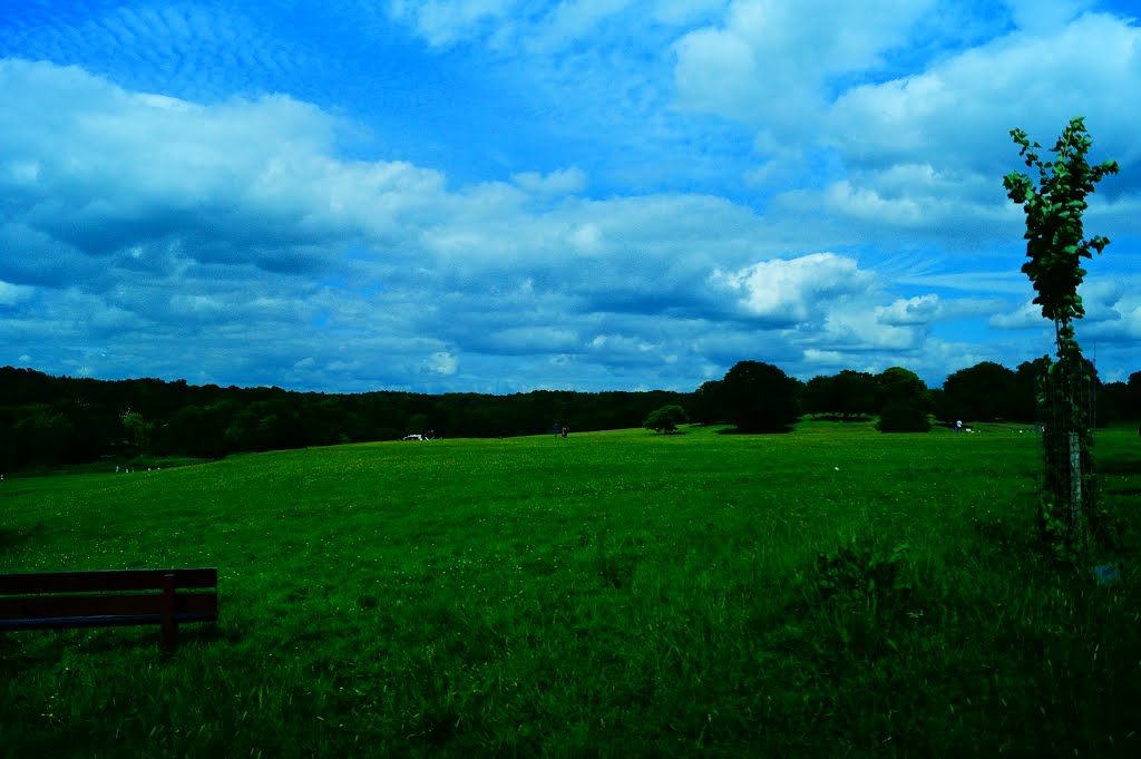 Weald Country Park by FOTOG-RAF POLSKA