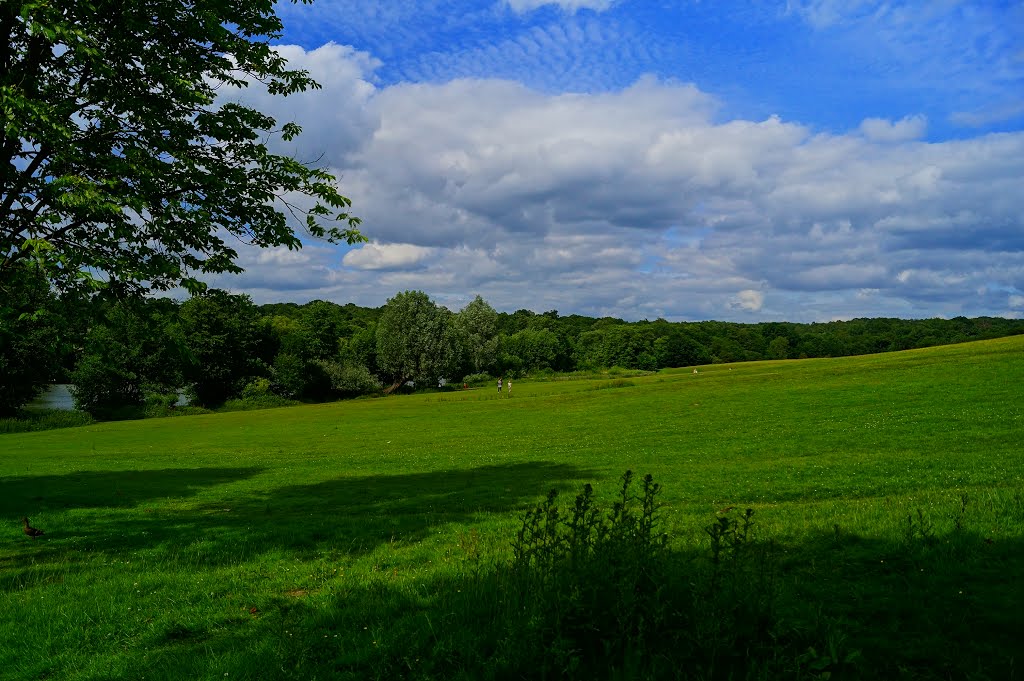 Weald Country Park by FOTOG-RAF POLSKA