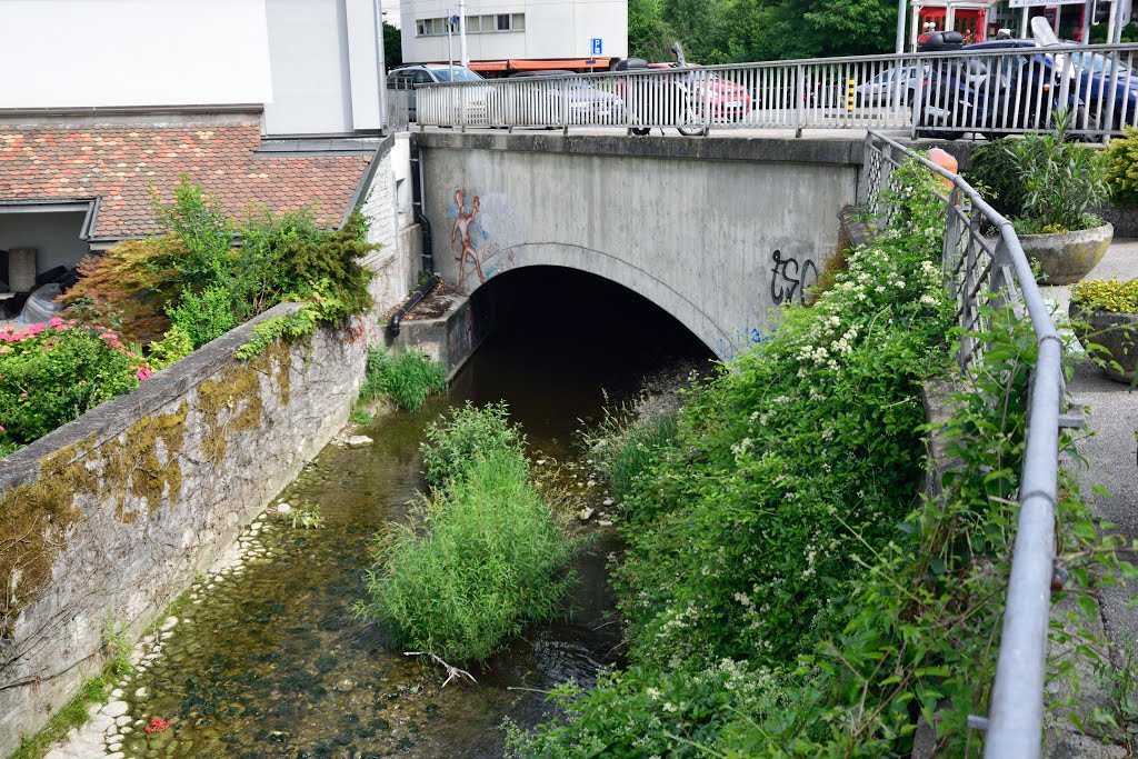 Pont à Chêne-Bougeries by Michel Baud