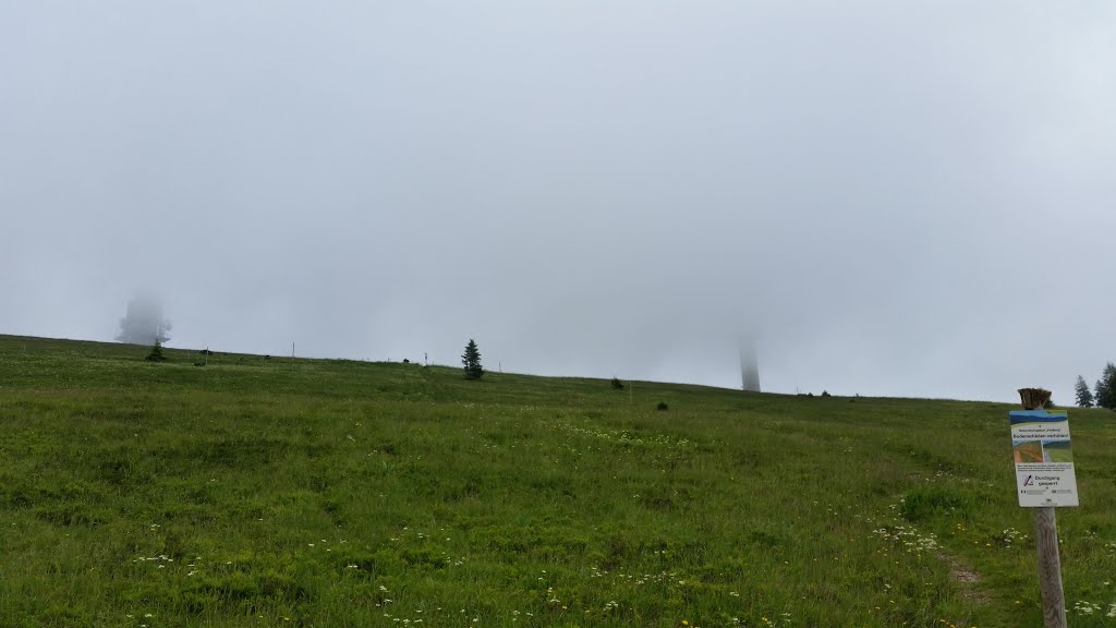 Feldberg-Gipfel verschwindet in den Regenwolken by Wittenberg9