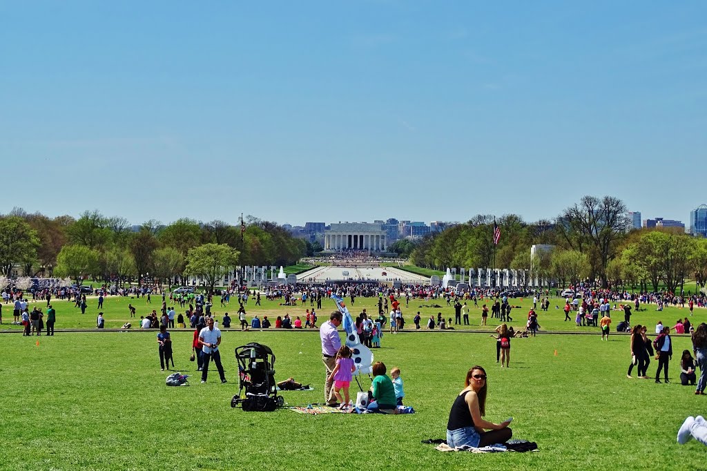 Lincoln Memorial Washington,DC by Yogi M