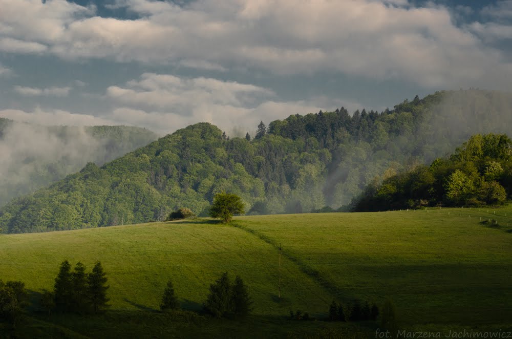 Beskid Sądecki, Dubne by Marzena Jachimowicz