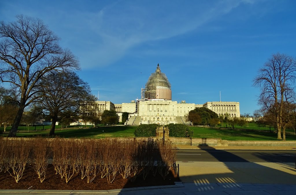 Capitol Building Washington,DC by Yogi M