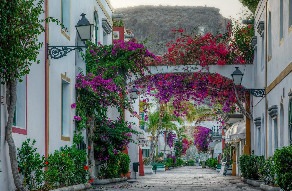 Puerto de Mogán, 35139 Lomo Quiebre, Las Palmas, Spain by Andreas Swierzy