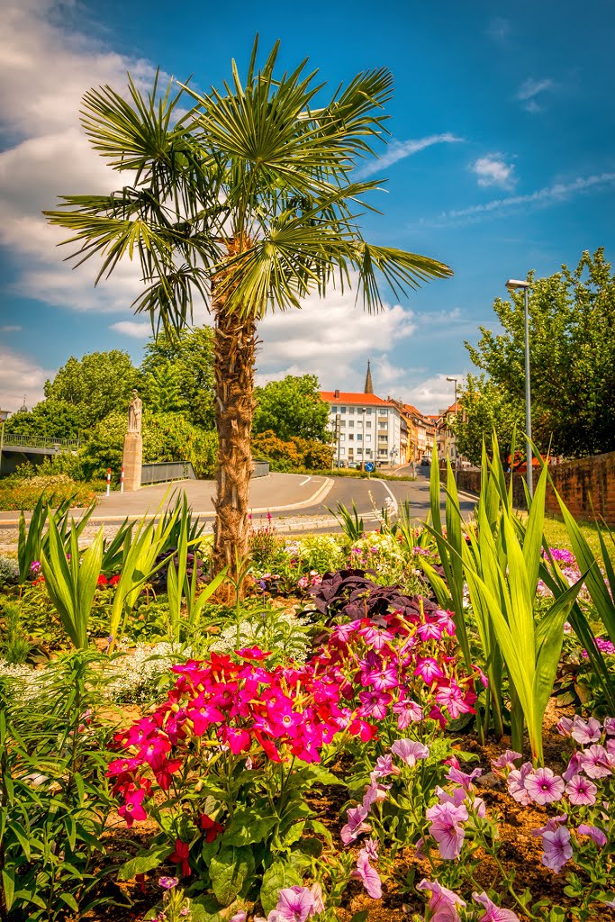 Blumenbeet mit Palme am Floßhafen by Michael Rocek