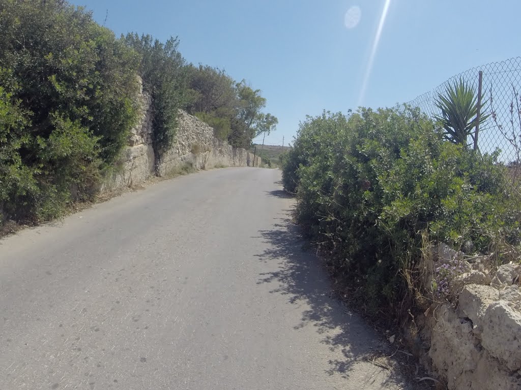 Ħad-Dingli, Malta by Alan C. Bonnici