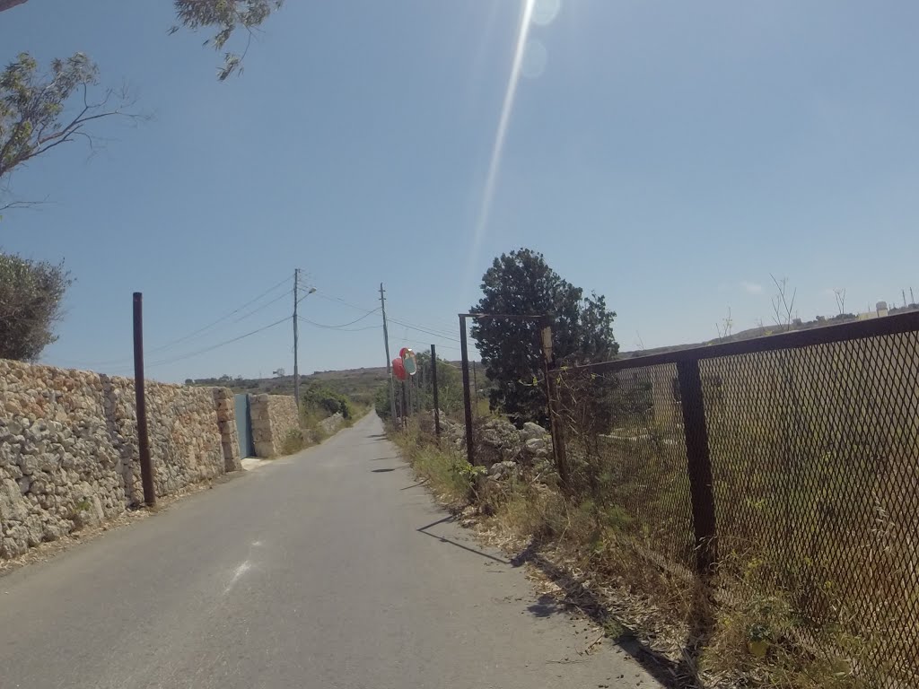 Buskett, Triq IL-Buskett, Ħad-Dingli, Malta by Alan C. Bonnici