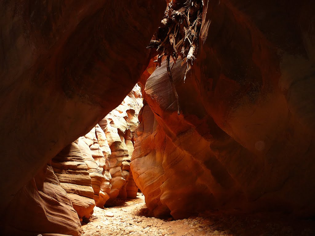 Buckskin Gulch by Werner R.