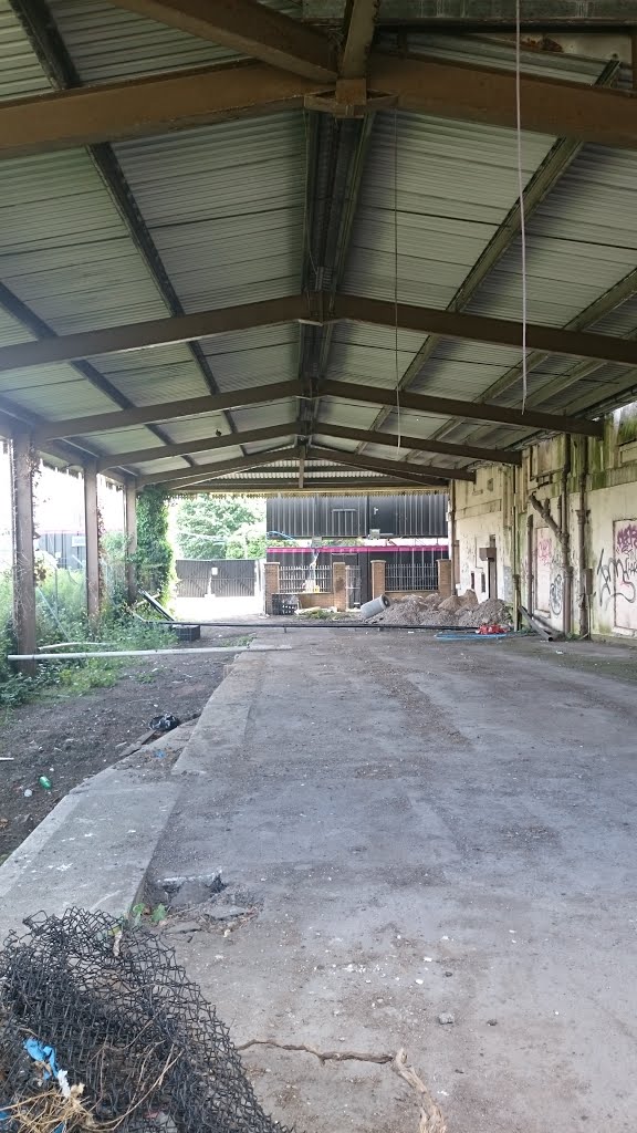 Disused platform at Cardiff Bay Station by joydivision7780