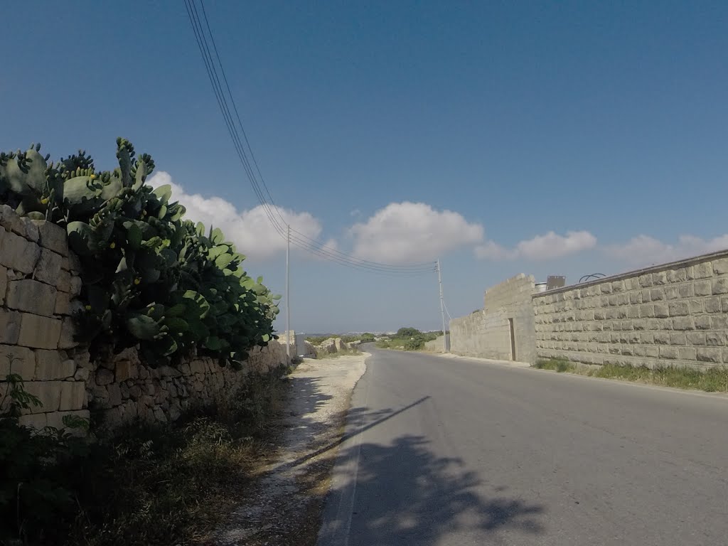 Mdina, Malta by Alan C. Bonnici