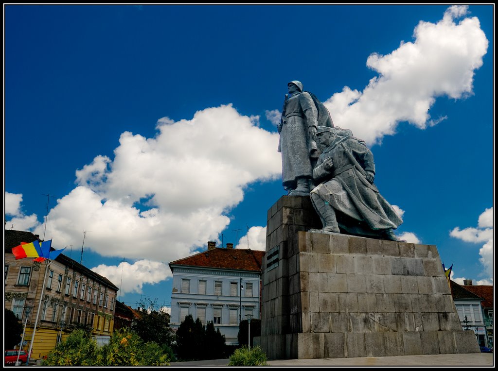 Monumentul Eroilor, Piata Avram Iancu by ioja