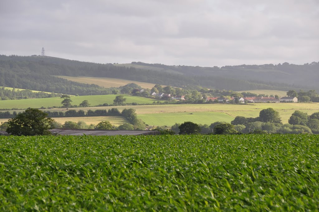 Upton Pyne, UK by A Photographer