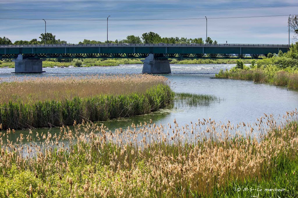 Pont Mgr Langlois vue de île Liénard by Le Marcheur