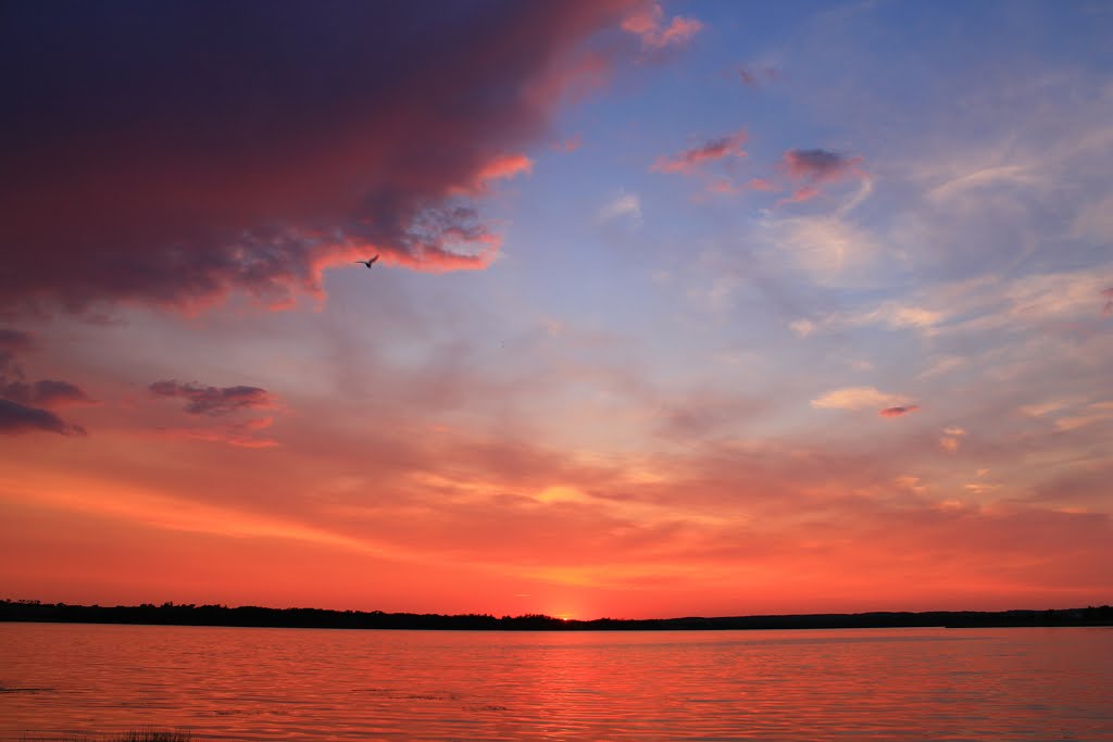 Lacombe County, AB, Canada by Amandy G