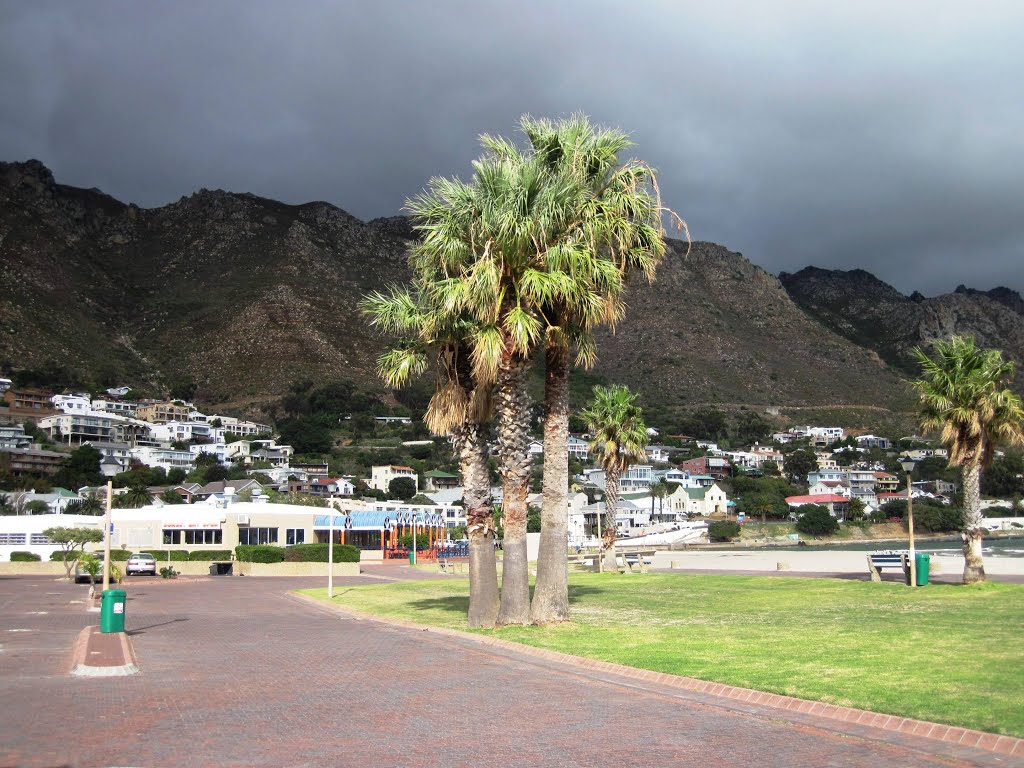 3 Palm Trees in parking area on beach front by Charles Vrey