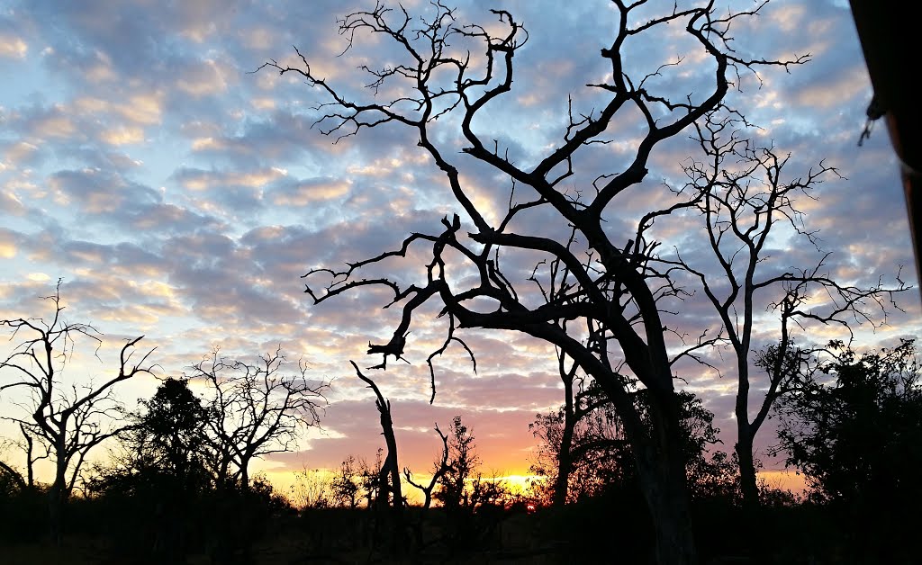 Chobe, Botswana by Michele Curcio (tund…