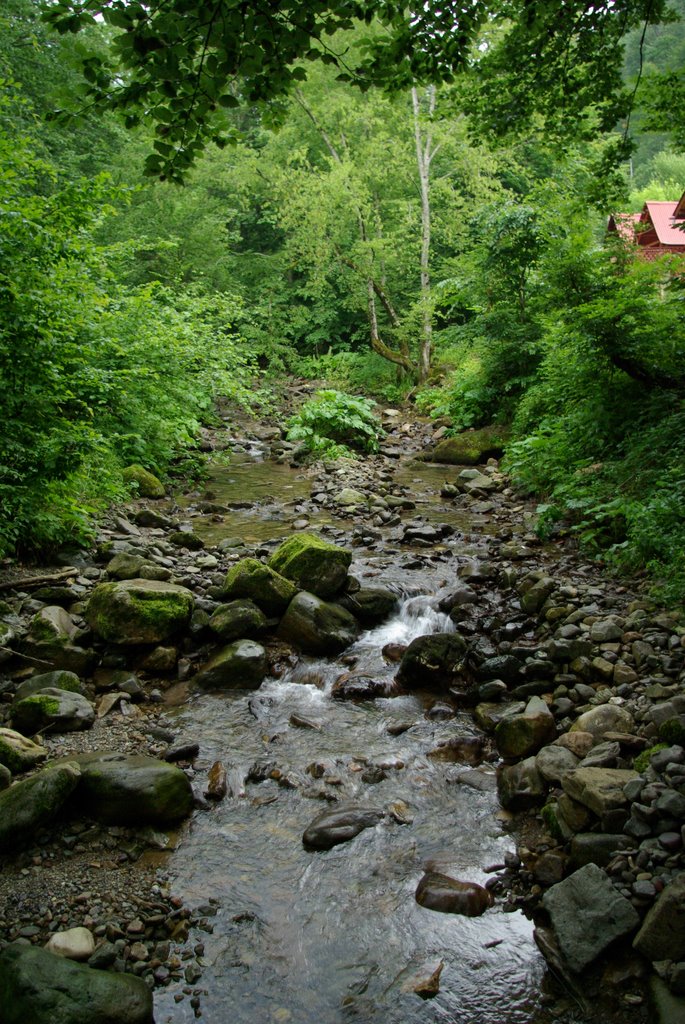 Boga, Romania by László Márton Valyuc…