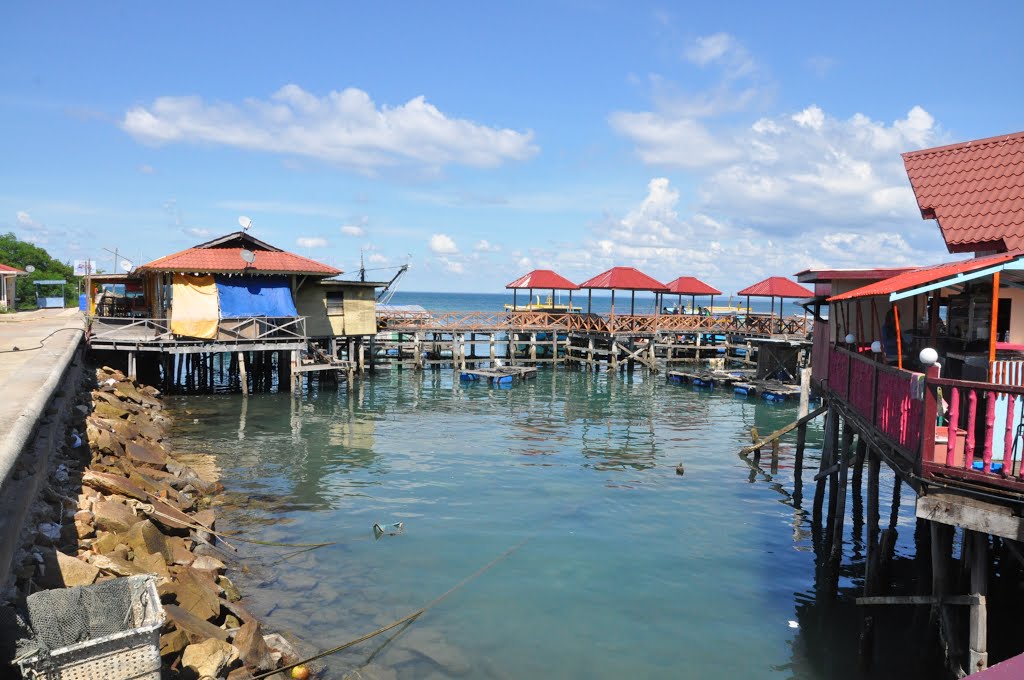 TERNAK IKAN SANGKAR by mohd salim yunus