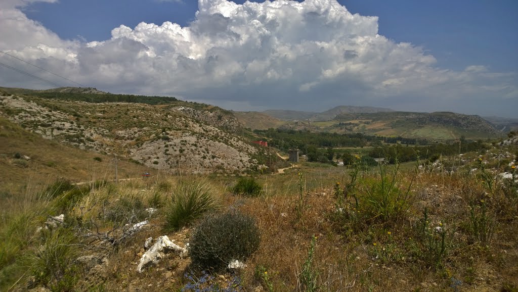 La Reserva Naturale Orientata di Torre Salsa, ingresso Omomorto, Siculiana, Sicily, Italy. by Hans R. van der Woud…