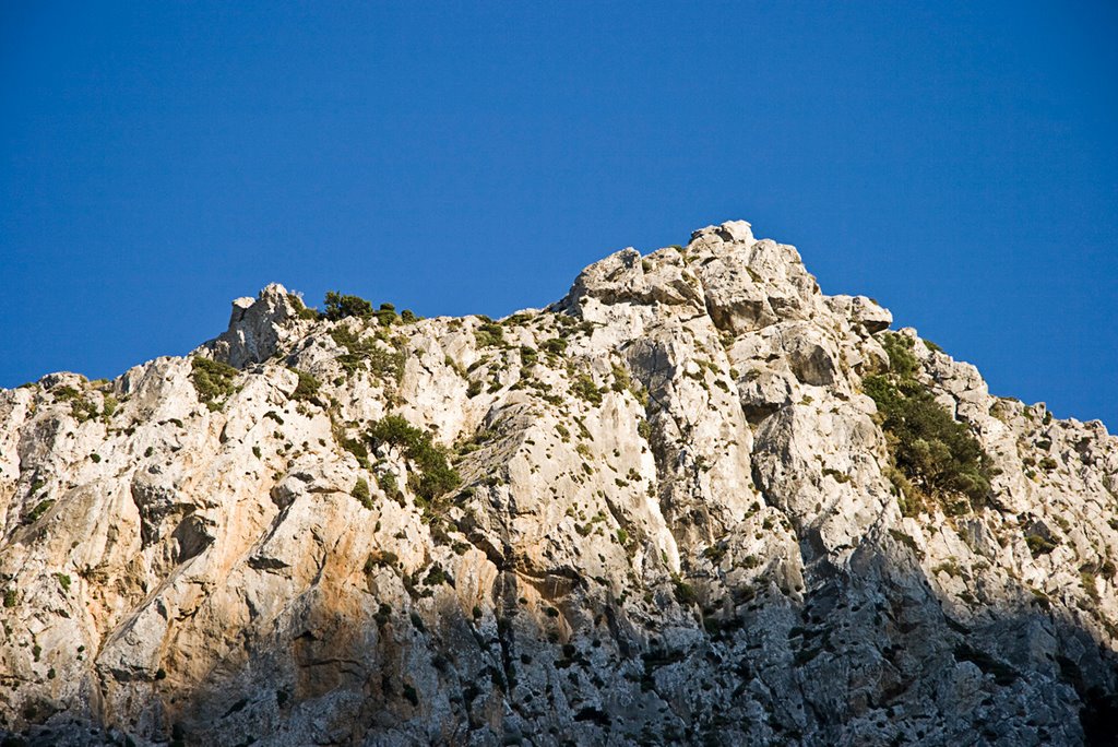 Late sunlight in a gorge, Crete, Greece by Wim Janssen