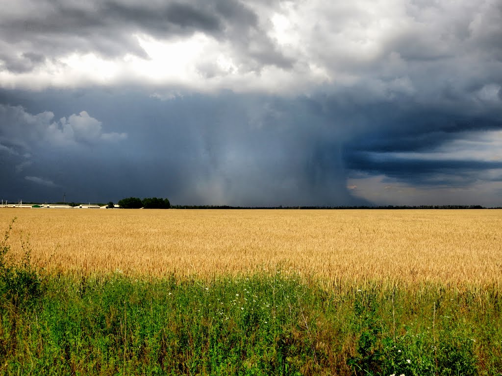 Rainfall. Дальний ливень над Кубанью 22 июня. by Сургуль