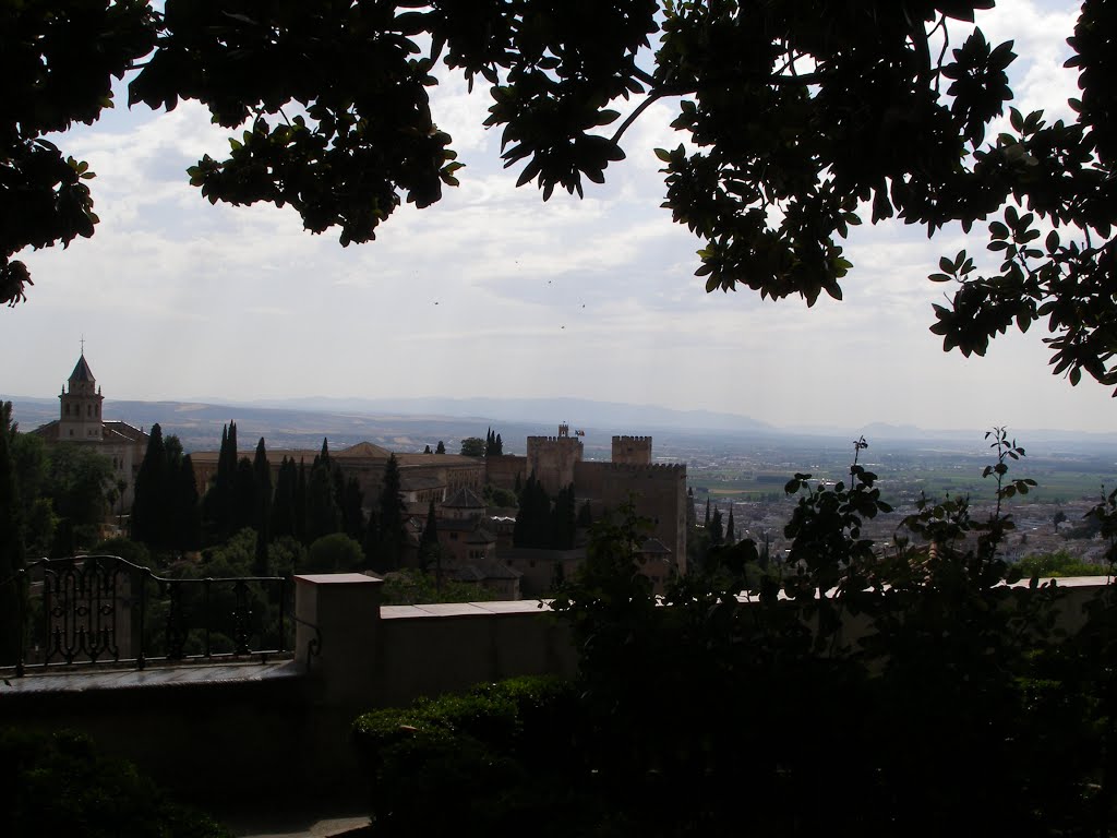 La Alhambra bajo el magnolio by isapama