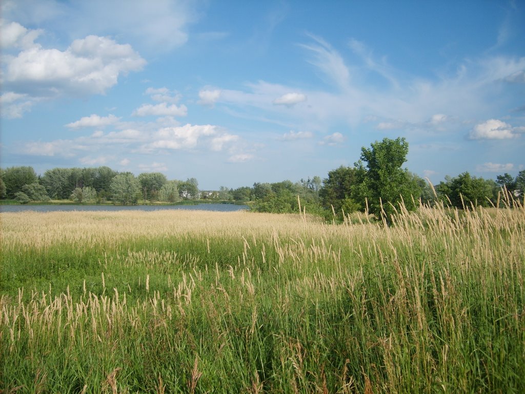 Markgrafs Lake, Woodbury MN by nkovac1