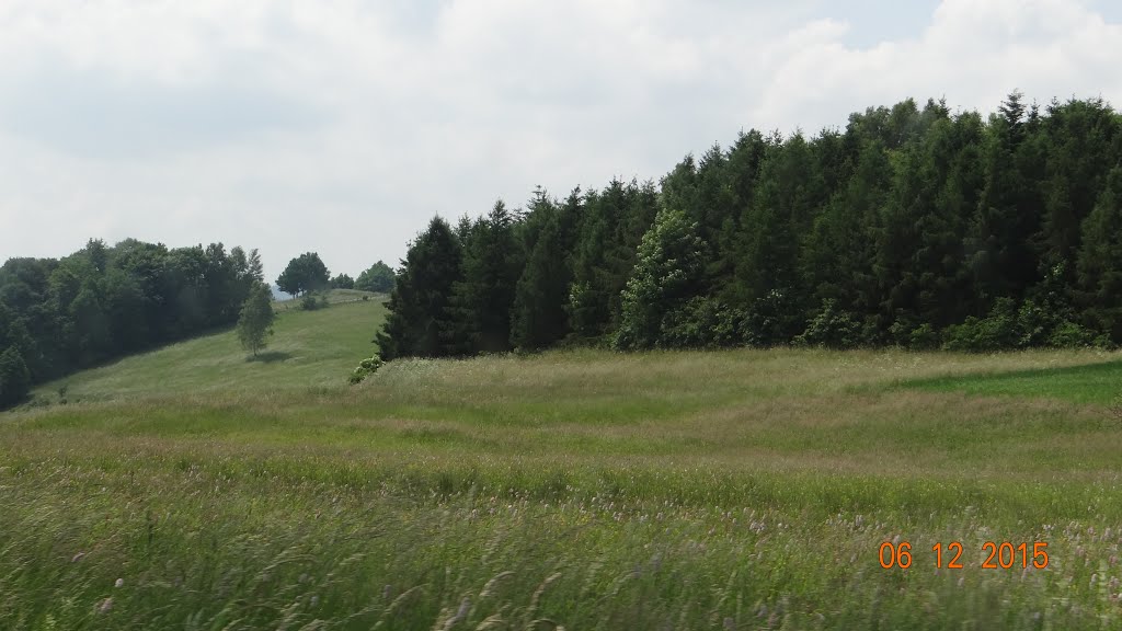 Ciechanowice (do 1945 r. niem. Rudelstadt) – wieś w Polsce położona w województwie dolnośląskim, w powiecie kamiennogórskim, w gminie Marciszów by Andrzej Wacławek