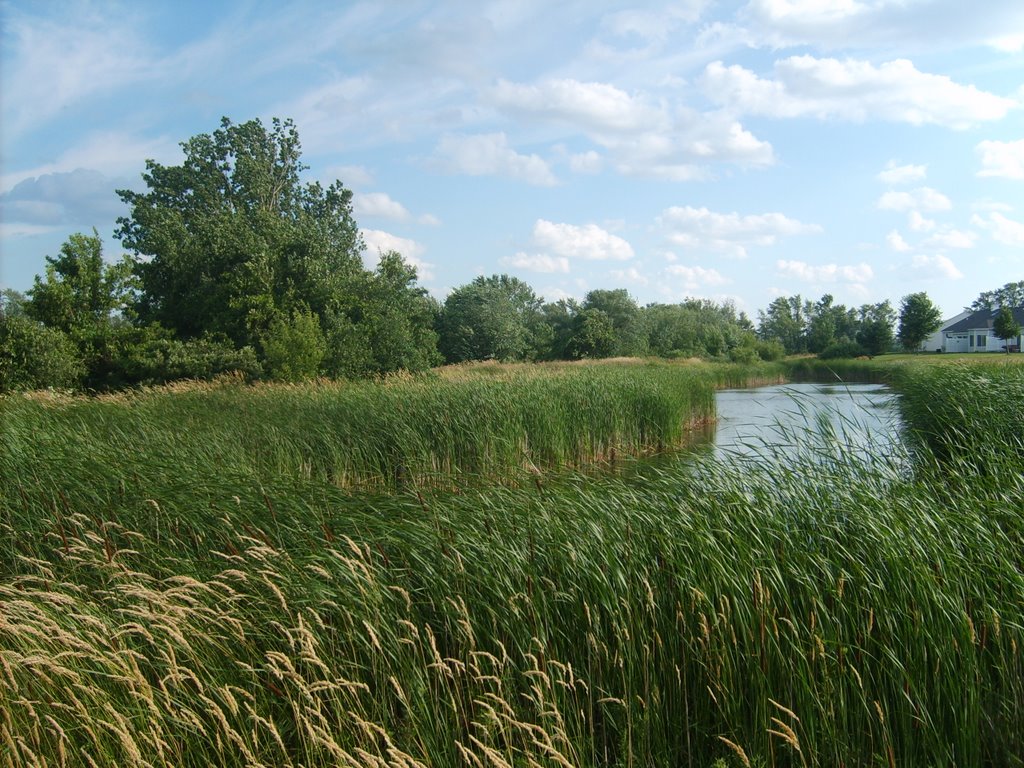 Markgrafs Lake, Woodbury MN by nkovac1