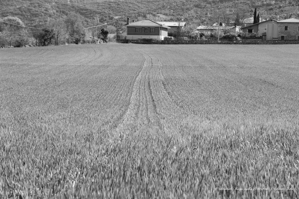 PANORAMICA DE VALDENOCEDA by Jose Eduardo Tobes