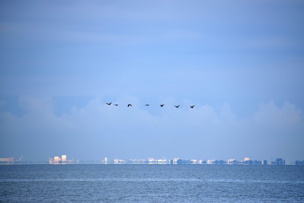 Lelystad, Netherlands by Fimme Jan van der Wa…