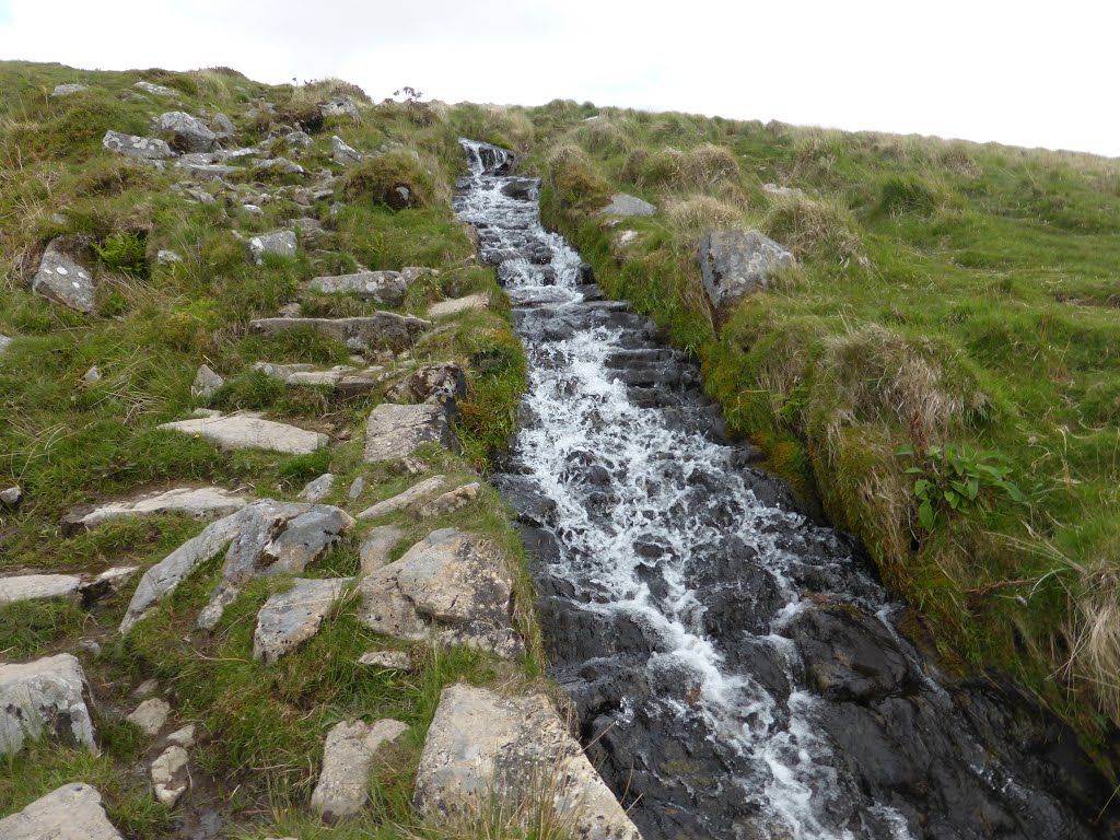 Devonport Leat, near River Meavy by Andrew Stead