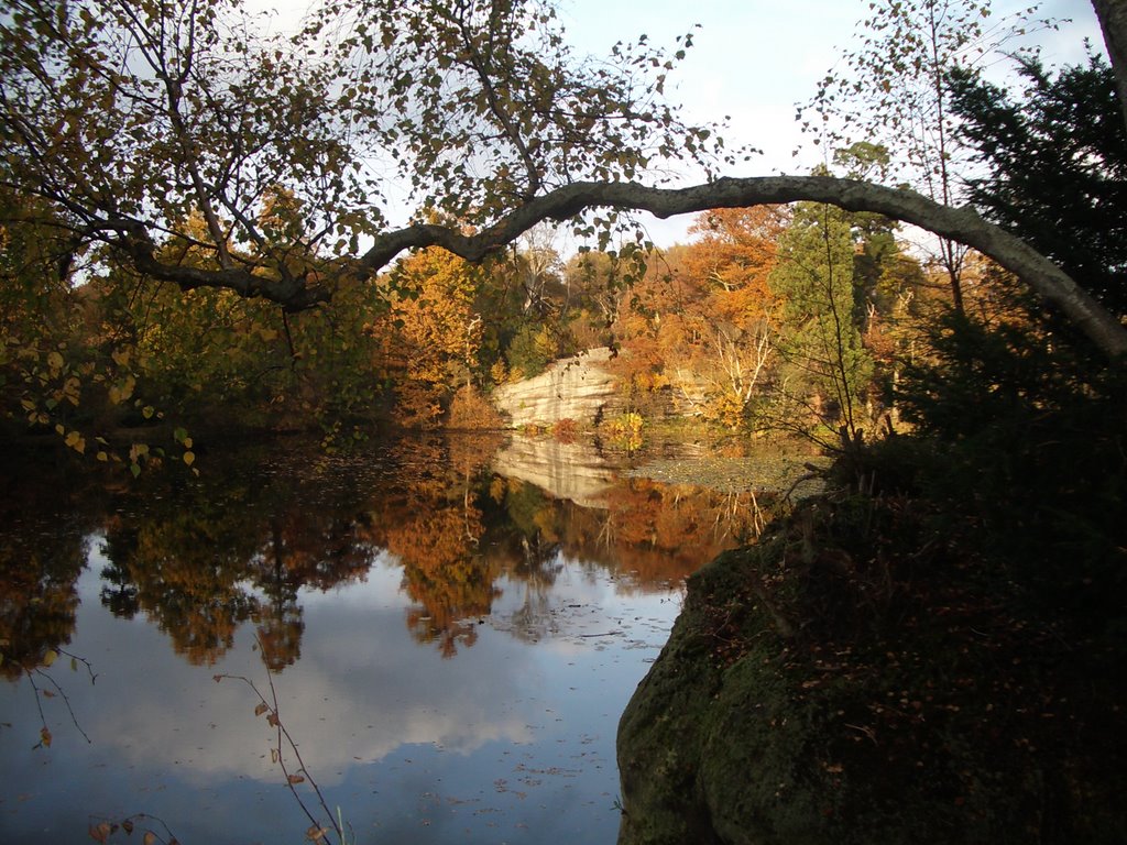 Lake Wood, Uckfield by danep5