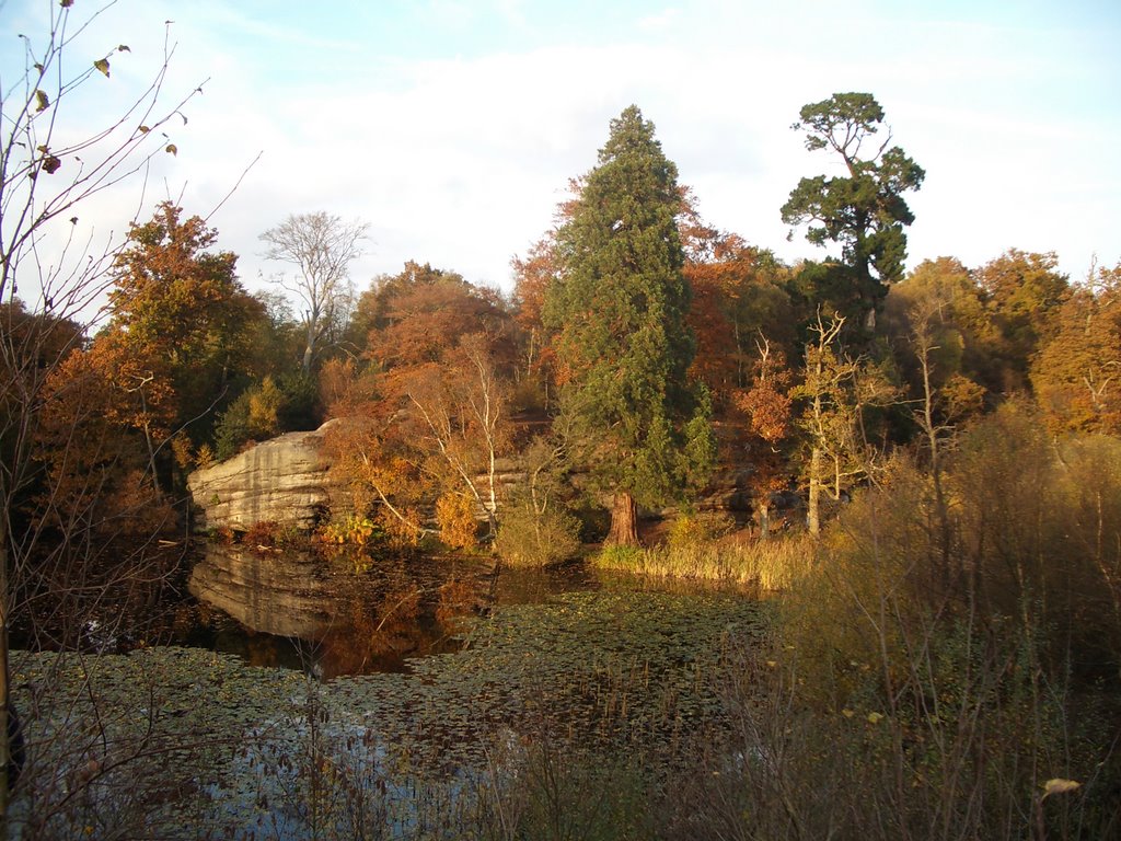 Lake Wood 2, Uckfield by danep5